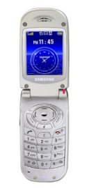 Samsung SGH-S100