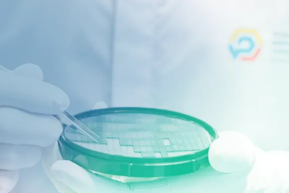 ���� � ����� �������� ������ ��� � ������ ���������� ��������