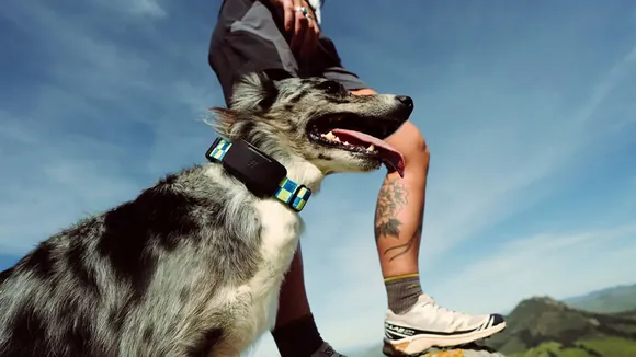 ��� Starlink ����� ��� ���� �������� ���������� &ndash; ������������ �����